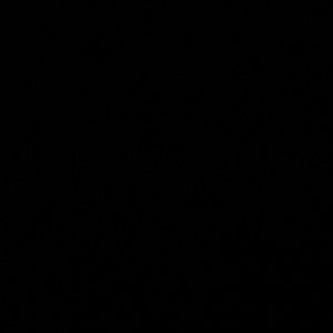 Meet your Posher, Ben